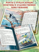 Птичий блог, или Когда твой папа – орнитолог — фото, картинка — 2