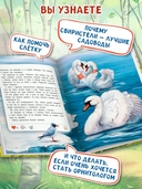 Птичий блог, или Когда твой папа – орнитолог — фото, картинка — 4