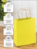 Пакет бумажный подарочный 