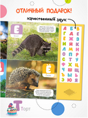 Говорящая азбука — фото, картинка — 4