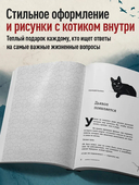 Если все кошки в мире исчезнут — фото, картинка — 4