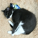 Игрушка для кошек 