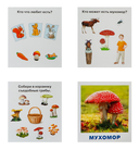 Грибы наших лесов. Набор карточек для детей — фото, картинка — 2