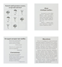 Грибы наших лесов. Набор карточек для детей — фото, картинка — 3