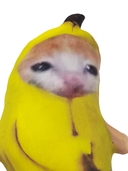 Мягкая игрушка 