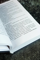 По пути утраченного — фото, картинка — 5