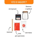 Набор для выращивания кристаллов 