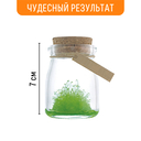 Набор для выращивания кристаллов 