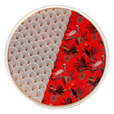 Тортовница 