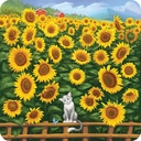 Солнечная долина. Карточная игра — фото, картинка — 1