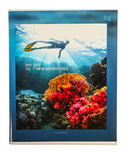 Тетрадь общая в клетку 