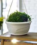 Пoдвecнoй цветочный гopшoк 